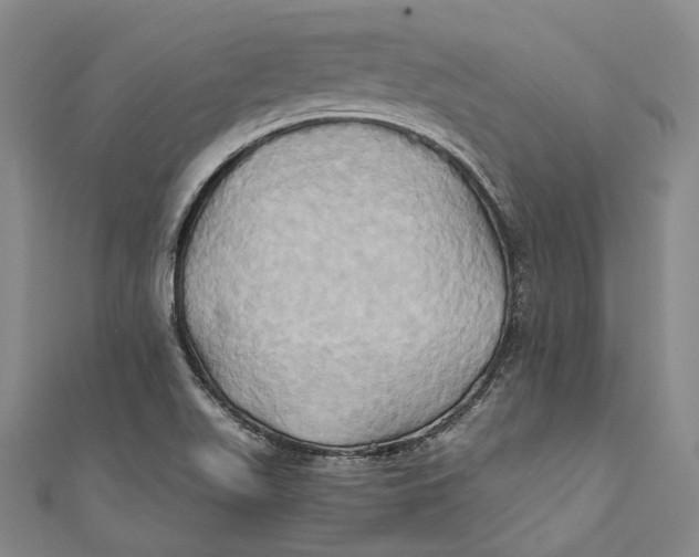 X0000110971511200907101338