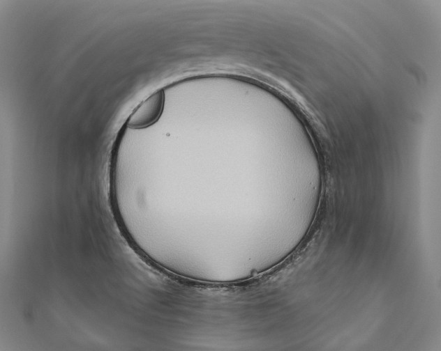 X0000110971512200907101338