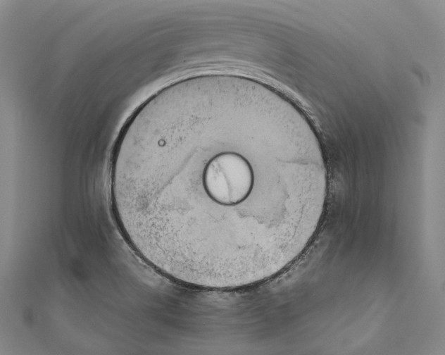 X0000110971514200907101338