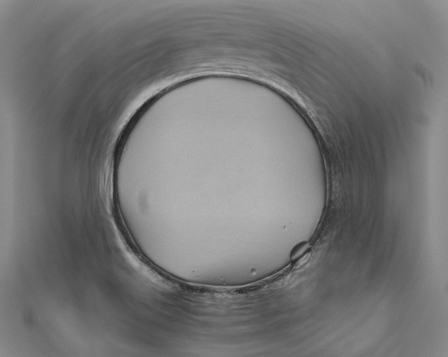 X0000110971515200907101338