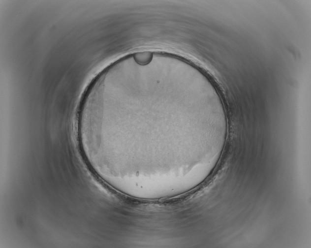 X0000110971517200907101338