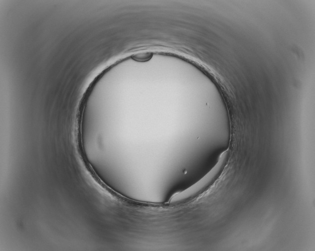 X0000110971518200907101338