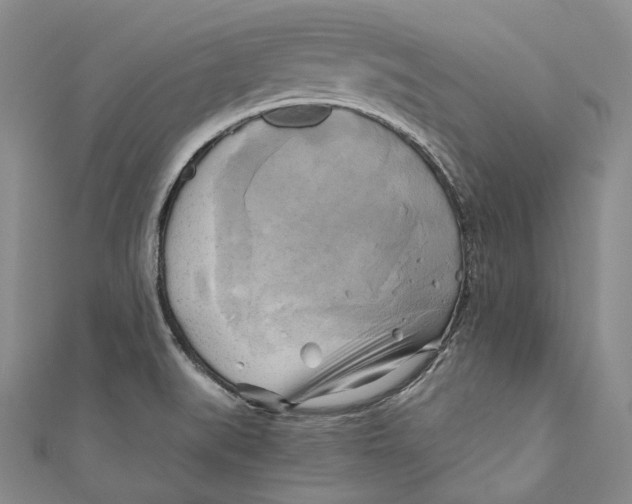 X0000110971519200907101338