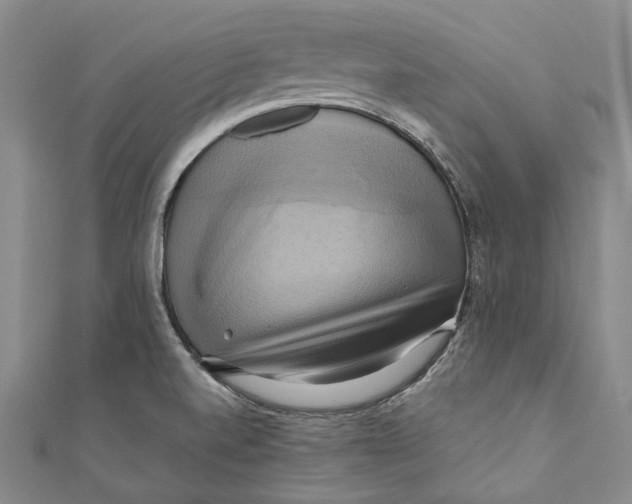 X0000110971520200907101338