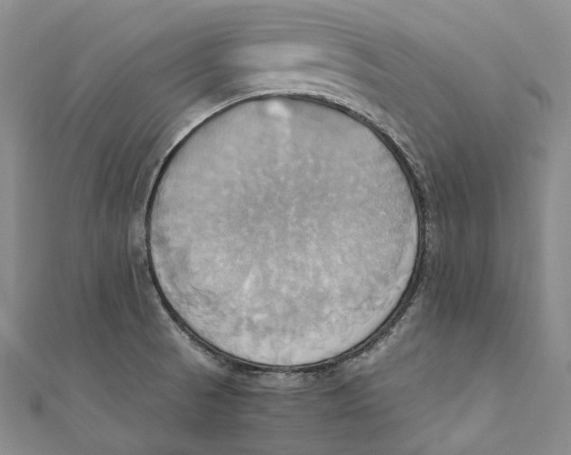 X0000110971521200907101338