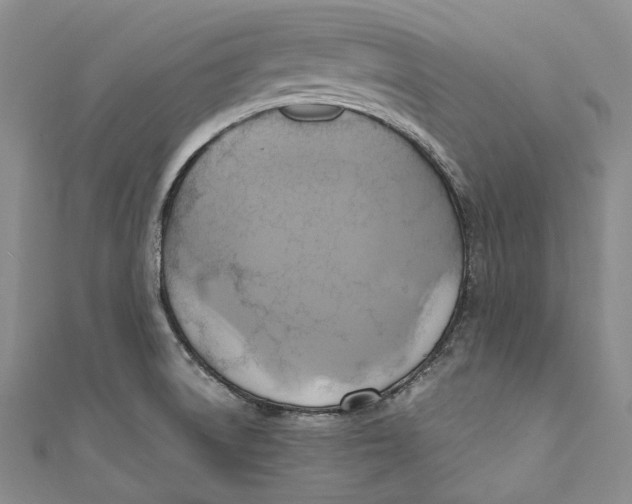 X0000110971522200907101338