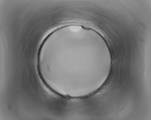 X0000110971523200907101338