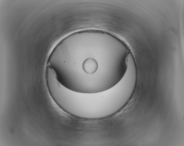 X0000110971524200907101338