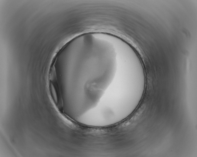 X0000110971525200907101338