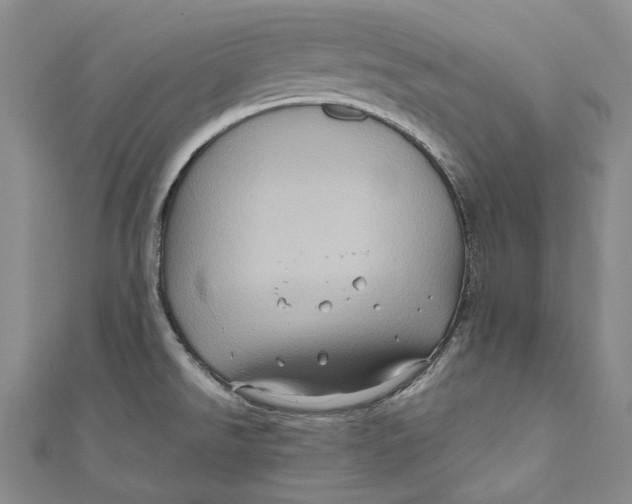 X0000110971526200907101338