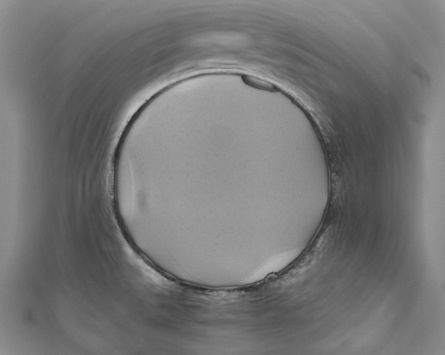 X0000110971527200907101338