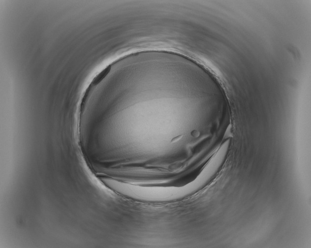 X0000110971528200907101338