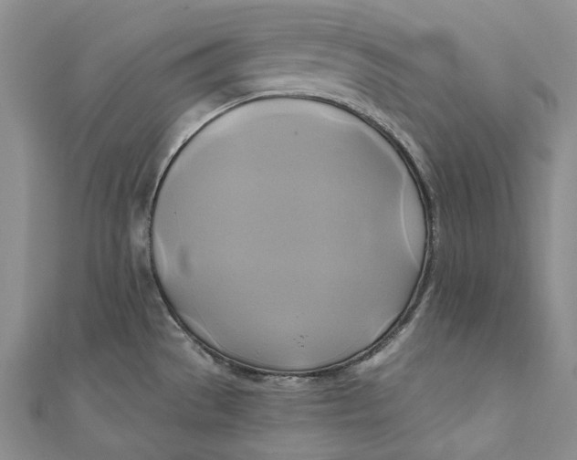 X0000110971529200907101338