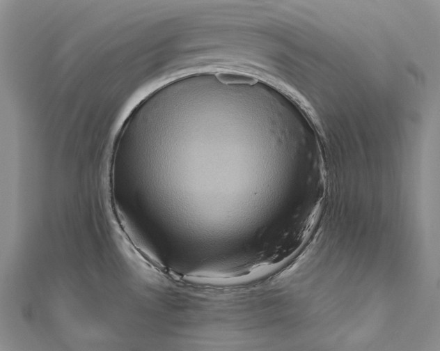 X0000110971530200907101338