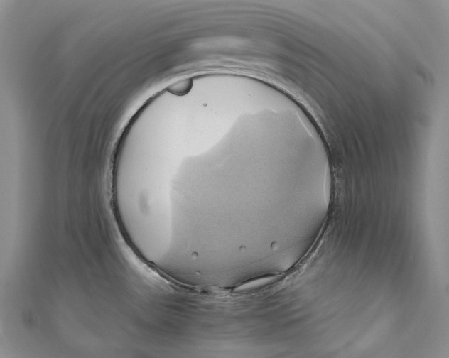 X0000110971531200907101338