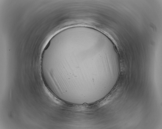 X0000110971532200907101338