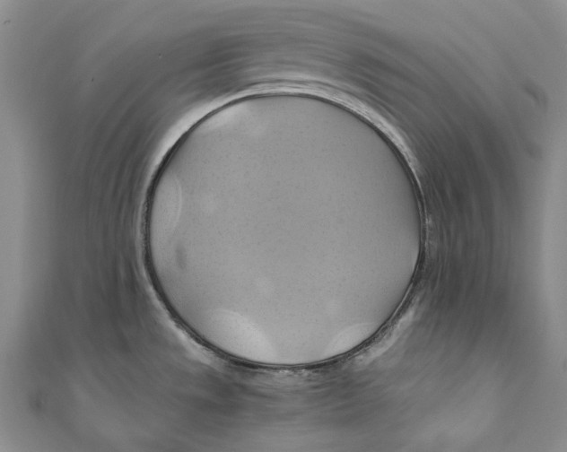 X0000110971533200907101338