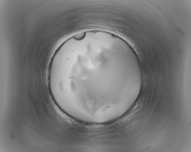 X0000110971535200907101338