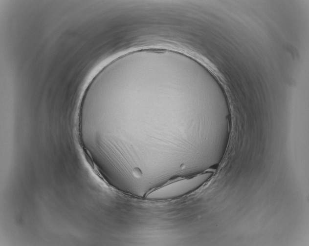 X0000110971536200907101338