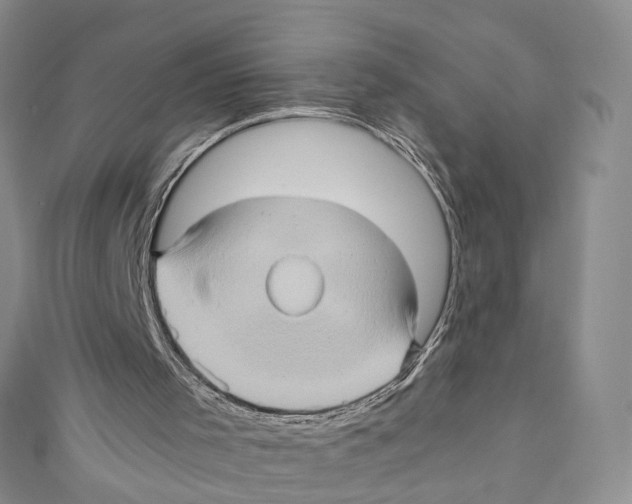 X0000110970001200907171721