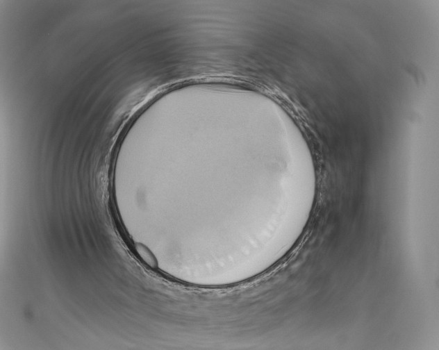 X0000110970002200907171721