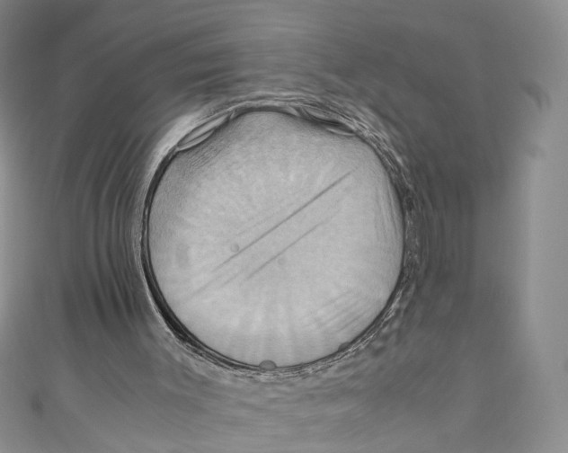 X0000110970003200907171721
