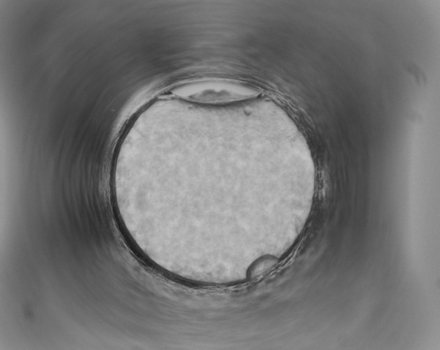 X0000110970004200907171721
