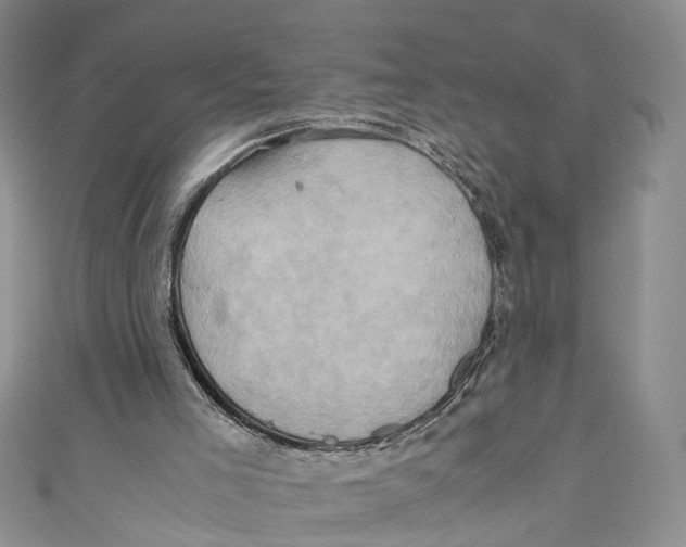 X0000110970005200907171720