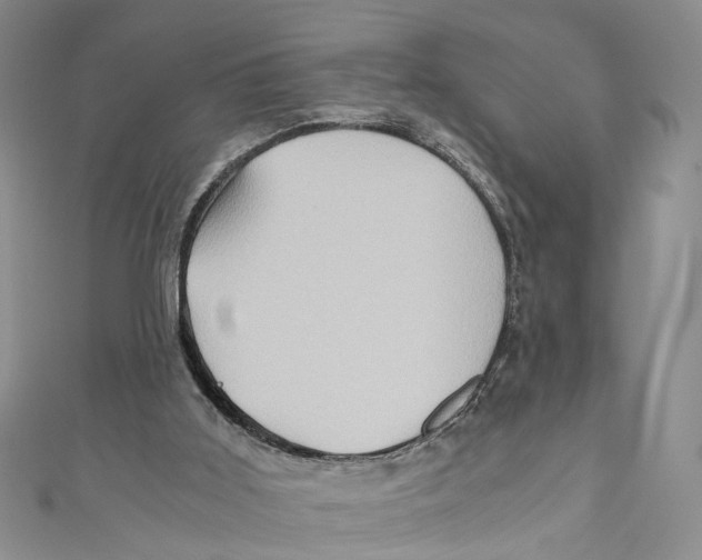 X0000110970011200907171720