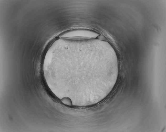 X0000110970012200907171720