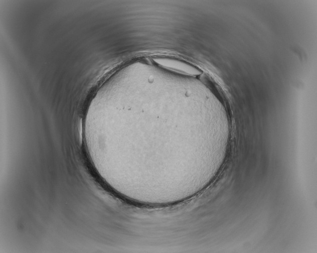X0000110970013200907171720