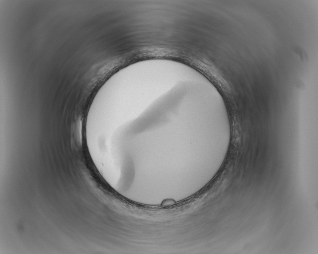 X0000110970014200907171720