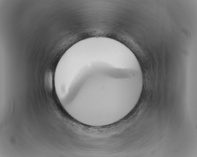 X0000110970022200907171720