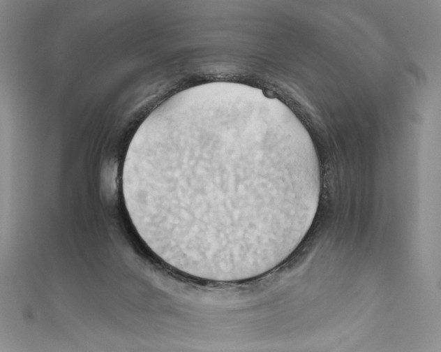 X0000110970024200907171720