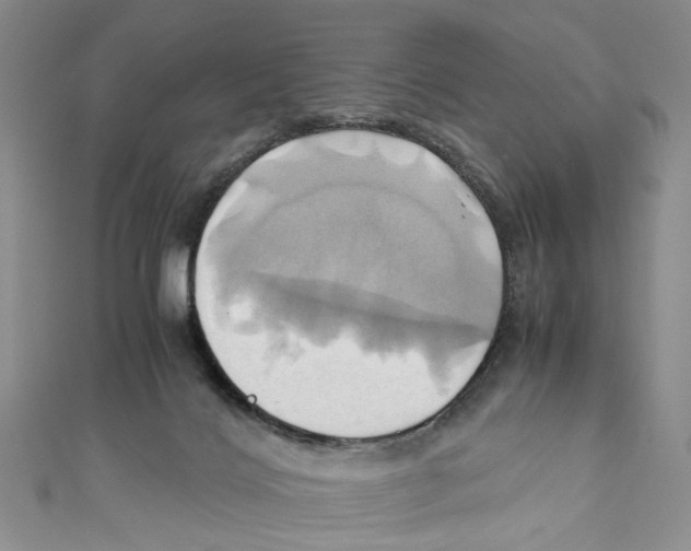 X0000110970028200907171720