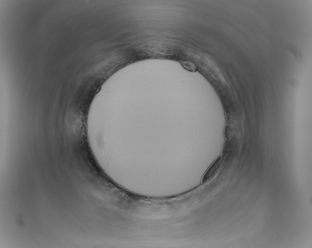 X0000110970029200907171720