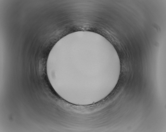 X0000110970030200907171720