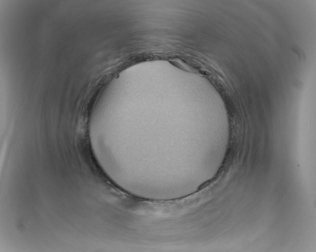 X0000110970033200907171720