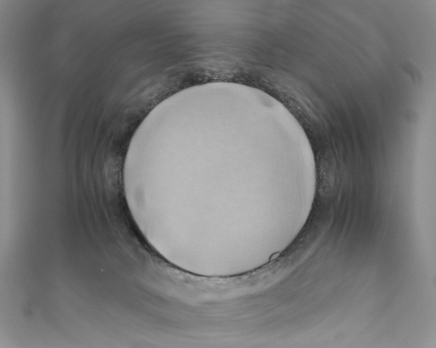 X0000110970034200907171720