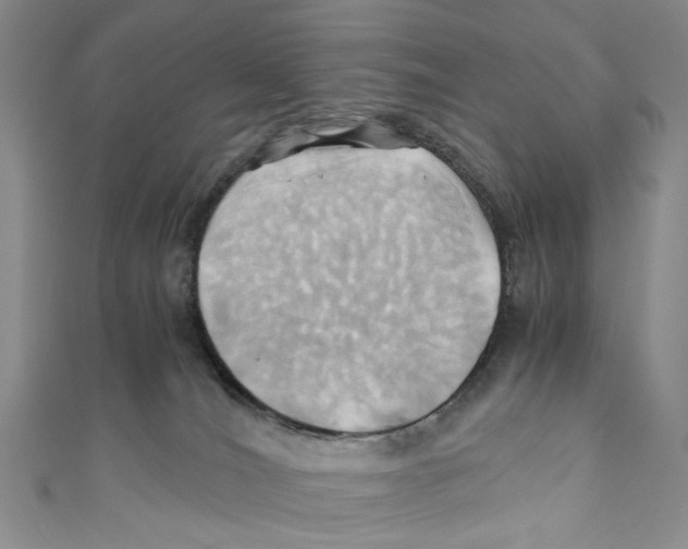 X0000110970036200907171720