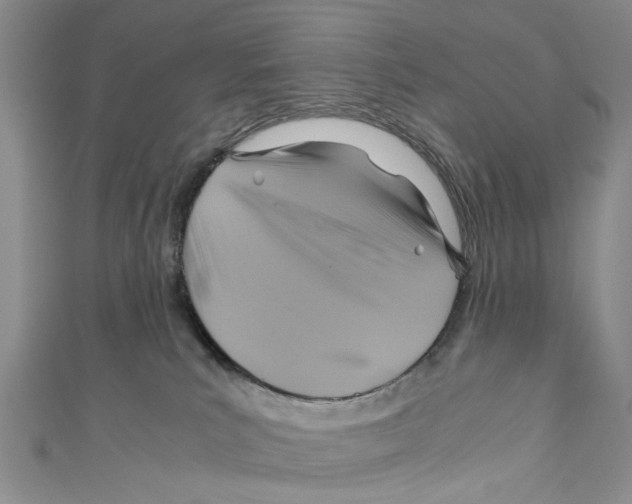 X0000110970039200907171720