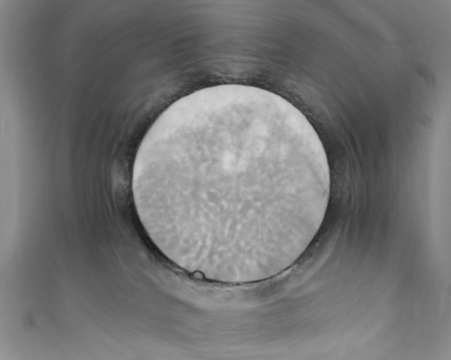 X0000110970040200907171720