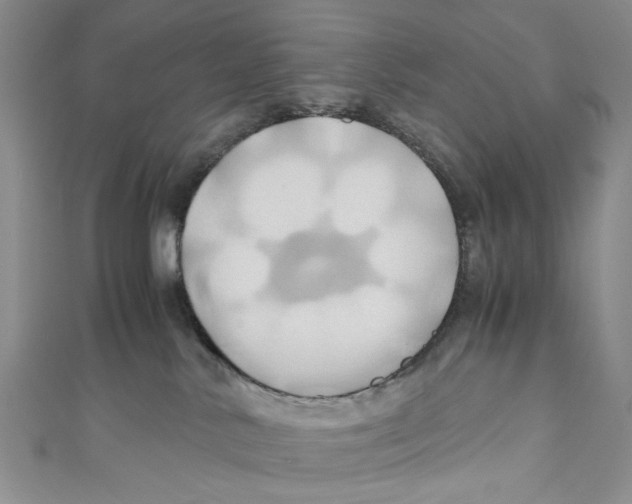 X0000110970042200907171720