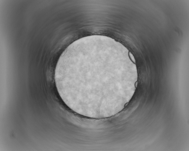 X0000110970044200907171720
