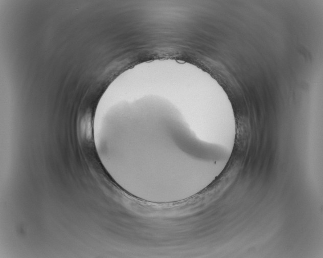 X0000110970046200907171720