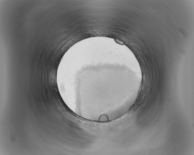 X0000110970048200907171720