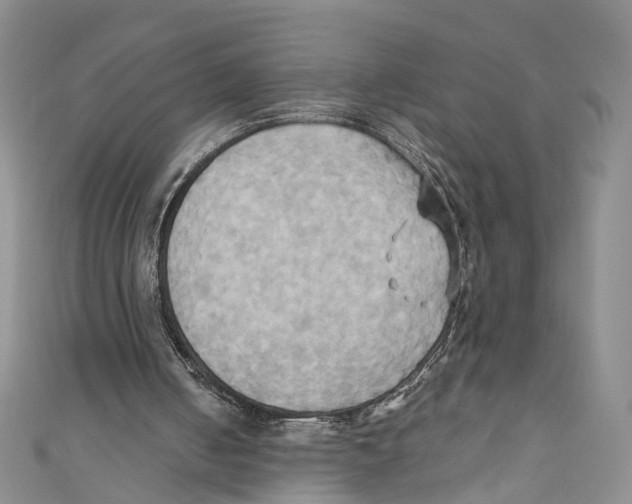 X0000110970050200907171719