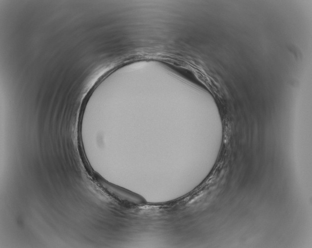X0000110970052200907171719