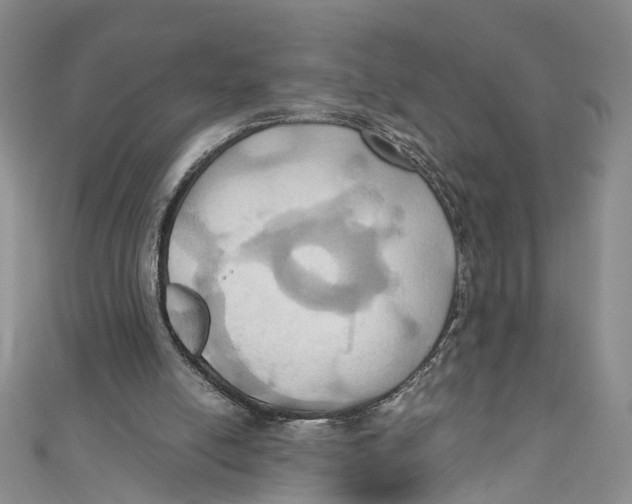 X0000110970054200907171719