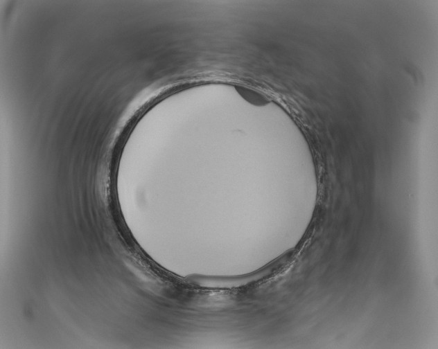 X0000110970056200907171719